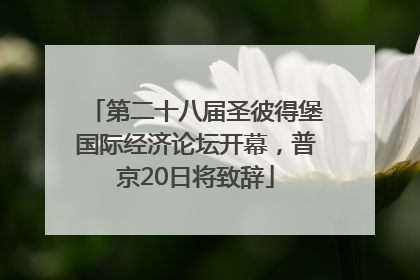 第二十八届圣彼得堡国际经济论坛开幕，普京20日将致辞