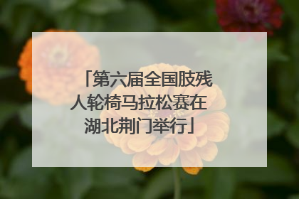 第六届全国肢残人轮椅马拉松赛在湖北荆门举行