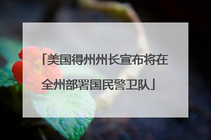美国得州州长宣布将在全州部署国民警卫队