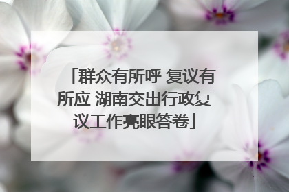 群众有所呼 复议有所应 湖南交出行政复议工作亮眼答卷