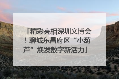 精彩亮相深圳文博会！聊城东昌府区“小葫芦”焕发数字新活力