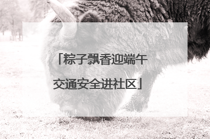 粽子飘香迎端午 交通安全进社区