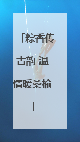 粽香传古韵 温情暖桑榆