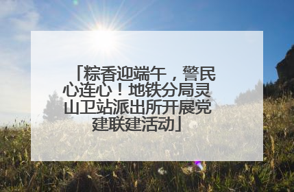 粽香迎端午，警民心连心！地铁分局灵山卫站派出所开展党建联建活动