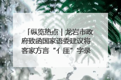 纵览热点｜龙岩市政府致函国家语委建议将客家方言“亻厓”字录入《新华字典》引发热议，当地回应