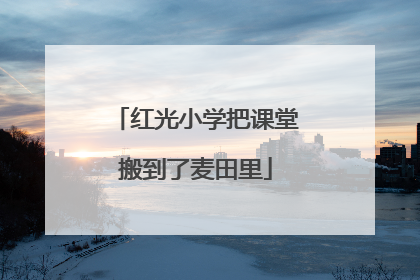 红光小学把课堂搬到了麦田里