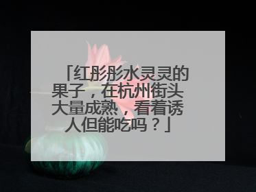 红彤彤水灵灵的果子，在杭州街头大量成熟，看着诱人但能吃吗？