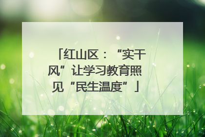 红山区：“实干风”让学习教育照见“民生温度”