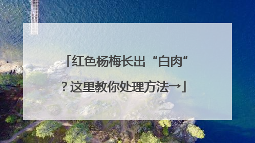 红色杨梅长出“白肉”？这里教你处理方法→