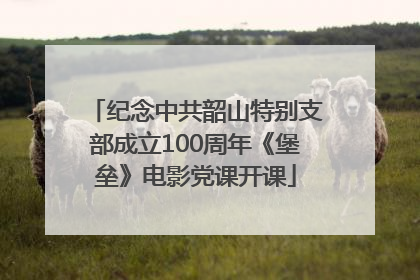 纪念中共韶山特别支部成立100周年《堡垒》电影党课开课