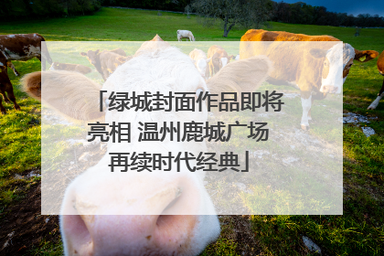 绿城封面作品即将亮相 温州鹿城广场再续时代经典