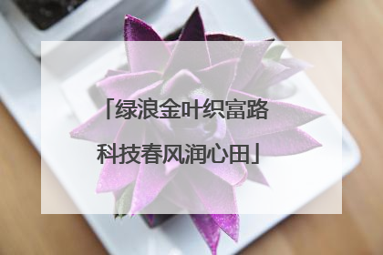 绿浪金叶织富路 科技春风润心田