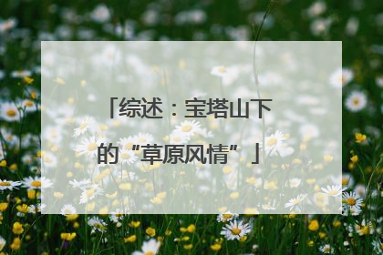综述：宝塔山下的“草原风情”