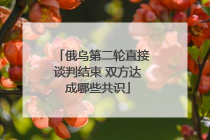 俄乌第二轮直接谈判结束 双方达成哪些共识