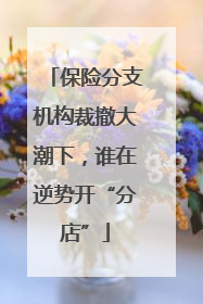 保险分支机构裁撤大潮下，谁在逆势开“分店”