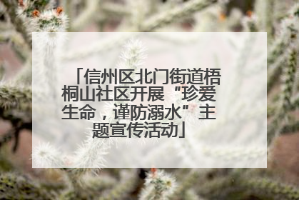 信州区北门街道梧桐山社区开展“珍爱生命，谨防溺水”主题宣传活动