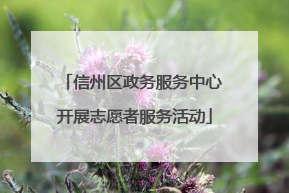 信州区政务服务中心开展志愿者服务活动