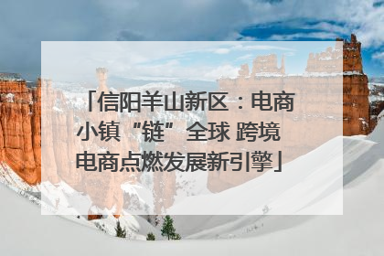 信阳羊山新区：电商小镇“链”全球 跨境电商点燃发展新引擎