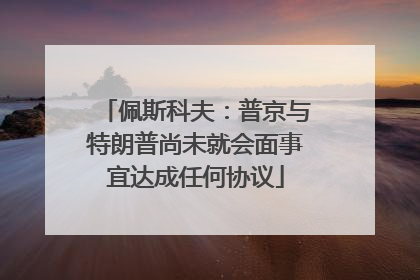佩斯科夫：普京与特朗普尚未就会面事宜达成任何协议