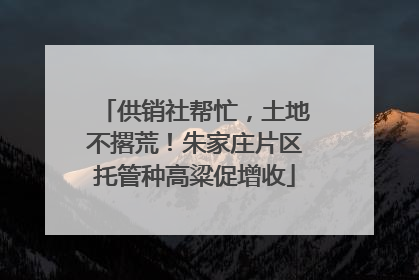 供销社帮忙，土地不撂荒！朱家庄片区托管种高粱促增收