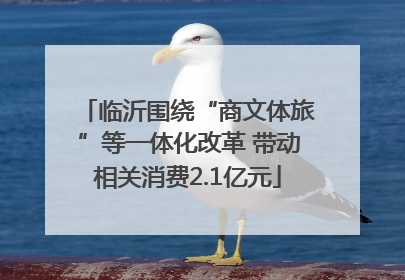 临沂围绕“商文体旅”等一体化改革 带动相关消费2.1亿元
