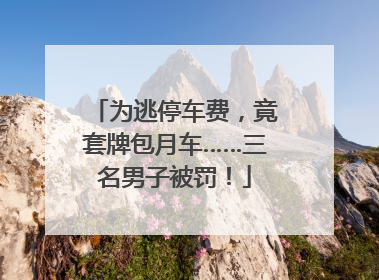 为逃停车费，竟套牌包月车……三名男子被罚！