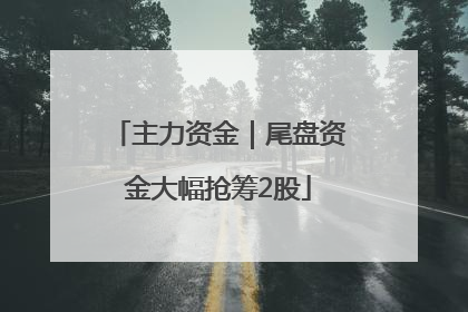 主力资金｜尾盘资金大幅抢筹2股
