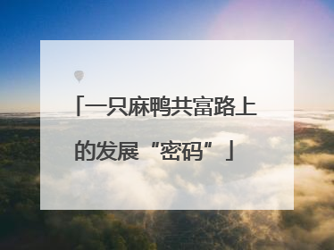 一只麻鸭共富路上的发展“密码”