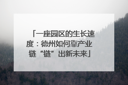 一座园区的生长速度：德州如何靠产业链“链”出新未来