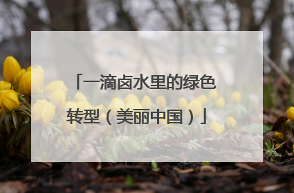 一滴卤水里的绿色转型（美丽中国）
