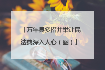 万年县多措并举让民法典深入人心（图）