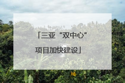 三亚“双中心”项目加快建设