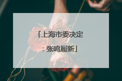 上海市委决定：张鸣履新