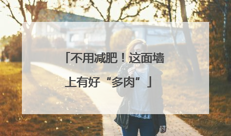 不用减肥！这面墙上有好“多肉”
