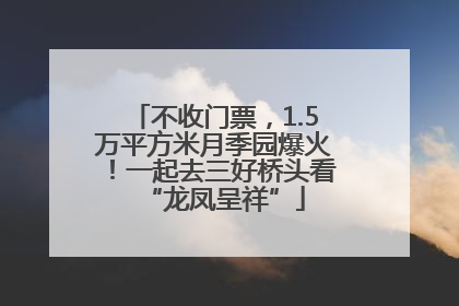 不收门票，1.5万平方米月季园爆火！一起去三好桥头看“龙凤呈祥”