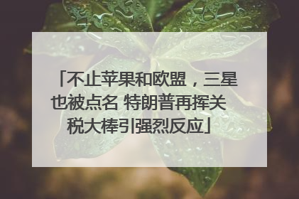不止苹果和欧盟，三星也被点名 特朗普再挥关税大棒引强烈反应