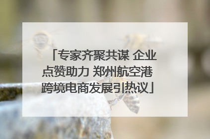 专家齐聚共谋 企业点赞助力 郑州航空港跨境电商发展引热议