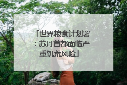 世界粮食计划署：苏丹首都面临严重饥荒风险