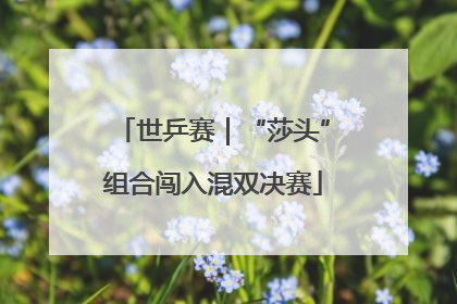 世乒赛｜“莎头”组合闯入混双决赛