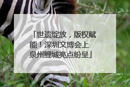 世遗绽放，版权赋能！深圳文博会上 泉州鲤城亮点纷呈
