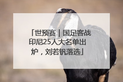 世预赛｜国足客战印尼25人大名单出炉，刘若钒落选