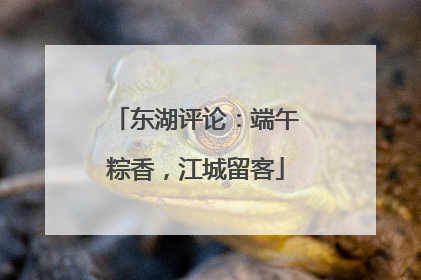 东湖评论：端午粽香，江城留客