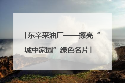 东辛采油厂——擦亮“城中家园”绿色名片