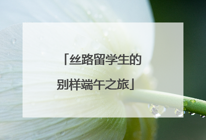 丝路留学生的别样端午之旅