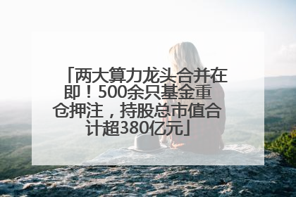 两大算力龙头合并在即！500余只基金重仓押注，持股总市值合计超380亿元