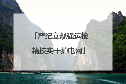 严纪立规强运检 精技实干护电网