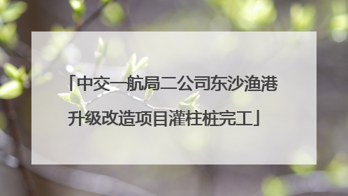 中交一航局二公司东沙渔港升级改造项目灌柱桩完工