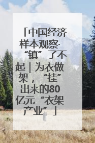 中国经济样本观察·“镇”了不起｜为衣做架，“挂”出来的80亿元“衣架产业”
