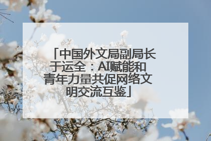 中国外文局副局长于运全：AI赋能和青年力量共促网络文明交流互鉴
