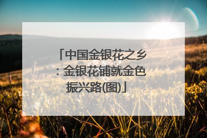 中国金银花之乡：金银花铺就金色振兴路(图)